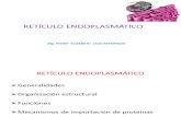 06 - Retículo endoplasmático