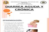 Diarrea Aguda y Crónica