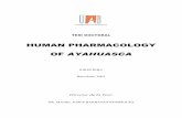 Ayahuasca Neuroquímica e Farmacologia-tesis Completa