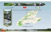 Plan General de Ordenación Forestal para el Departamento del Tolima.pdf