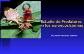 Control Biologico Predatores y Parasitoides