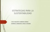 Unidad 6 Estrategias Para La Sustentabilidad.ppt
