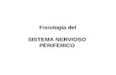 7 Fisiologia Sistema Nervioso Periferico