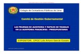 b1) Pruebas de Auditoria y Papeles de Trabajo - Luis a Gutierrez