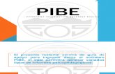 Introducción Pibe 2013