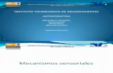 Antropometria Biomecanica Mecanismos Sensoriales