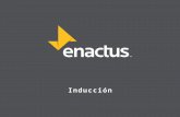 Inducción Enactus