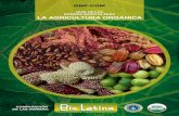 Normas Basicas Para Agricultura Organica -Perú