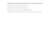 Apuntes- Estructuras metalicas.pdf