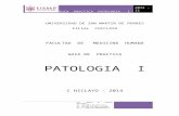 Patologia - i - 2014-Guia Practica