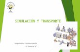 Cristhian Delgado Pico Simulacion y Transporte Portafolio