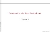 Dinamica de Las Proteinas Tema3