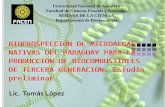 2014 Bioprospección de Microalgas Nativas del Paraguay para la Producción de Biocombustibles Tercera Generación. Estudio preliminar