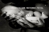 Isoinmunizacion Maternofetal Ginecologia 1230854917863617 1