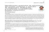 Identificacion Anatomica de Estructuras Del Maxilar Mediante 2 Metodos de Diagnostico