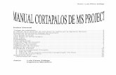 Project Manual Cortapalos