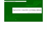 175373520 Apunte Rapido CCNA R S Version 5 0 Demo