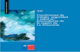 Cuadernos de Investigación Nº50 Condiciones de Trabajo, Seguridad y Salud en Pisciculturas de La Región de La Araucanía