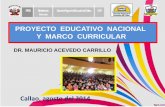 2 Pen y Marco Curricular - Mauricio Acevedo Carrillo (1)