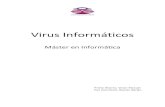 08 - Virus Informaticos