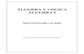 Algebra y Logica Algebra i Apuntes