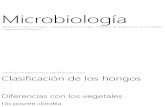 39983865 Micologia Clasificacion Morfologia y Diagnostico