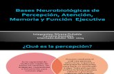 Bases Neurobiológicas de Percepción, Atención, Memoria
