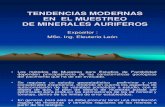 Tendencias Modernas En El Muestreo De Minerales Auriferos.ppt