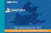 Programa Región Tehuacan Sierranegra