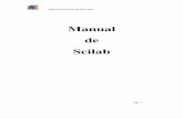 Manual Scilab