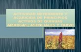 ACTIV DETERRENTE Y ACARICIDA DE PRINCIPIOS ACTIVOS.pptx