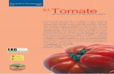 Cultivo de Tomate Ecologico