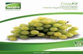 SQM-Crop Kit Grape L-ES