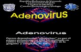 Adenovirus y Papilomavirus
