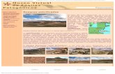 Bosques Petrificados - Museo Virtual de Fósiles Patagónicos