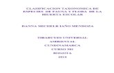 CLASIFICACION TAXONOMICA DE ESPECIES  DE FAUNA Y FLORA  DE LA HIUERTA ESCOLAR.docx