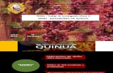 Mazamorra de Quinua (2)