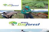 Portafolio de Servicios - Ing Bio Forest Sas Virtual PDF