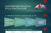 Hipertension Pulmonar Presentacion Acb