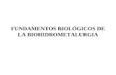 Biohidrometalurgia Clase I