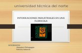 Toxicidad de Una Floricola- Jhonathan Pichogagon, Patricia Valencia- Ing.industrial
