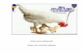 Proyecto Criadero de pollos.doc