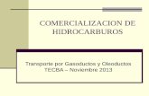 A.Industria del petróleo y Transporte de Hidrocarburos.pdf