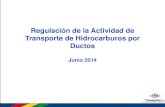 Regulacion Transporte UNIBOL FICH 2014.pdf