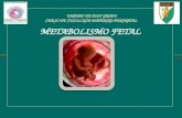 07 Metabolismo Fetal