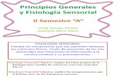 Principios Generales y Fisiologia Sensorial