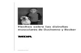Facts DMD-BMD Spanish 0