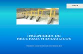 Ingenieria Recursos Hidraulicos