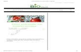 Cómo Embotellar Tus Propios Tomates _ La Bioguía