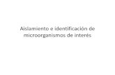 Aislamiento e identificación de microorganismos de interés.pdf
